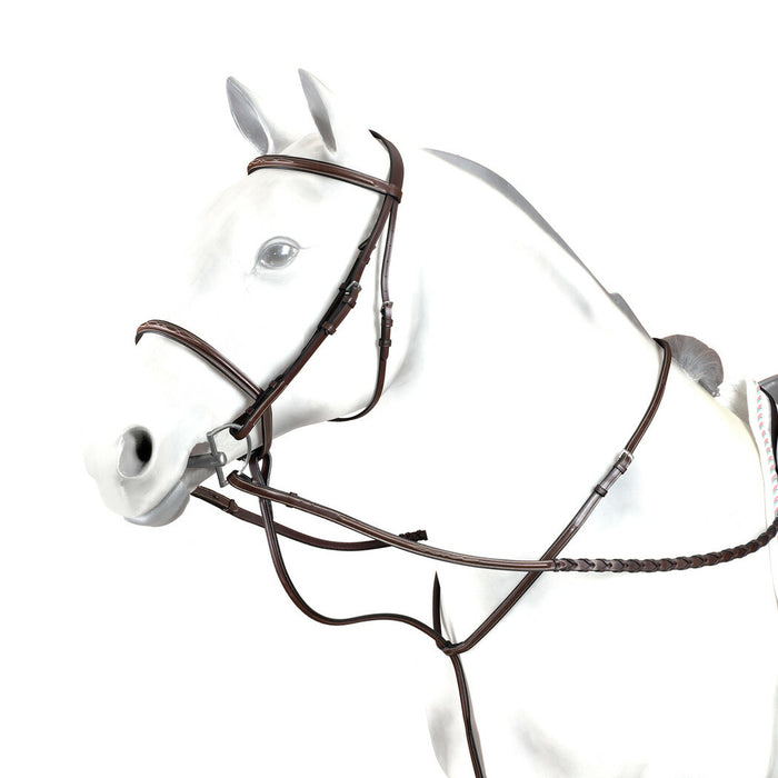 BP19 - Equipe Standing Martingale