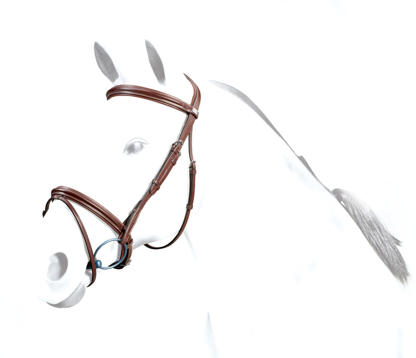 BR35 - Equipe Flash Bridle
