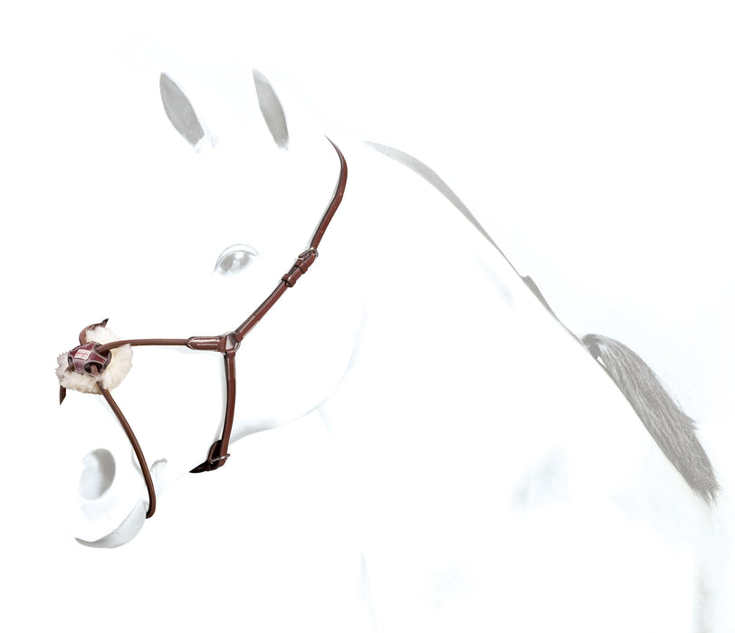 BR49 - Equipe Elastic Elastic Grackle Noseband