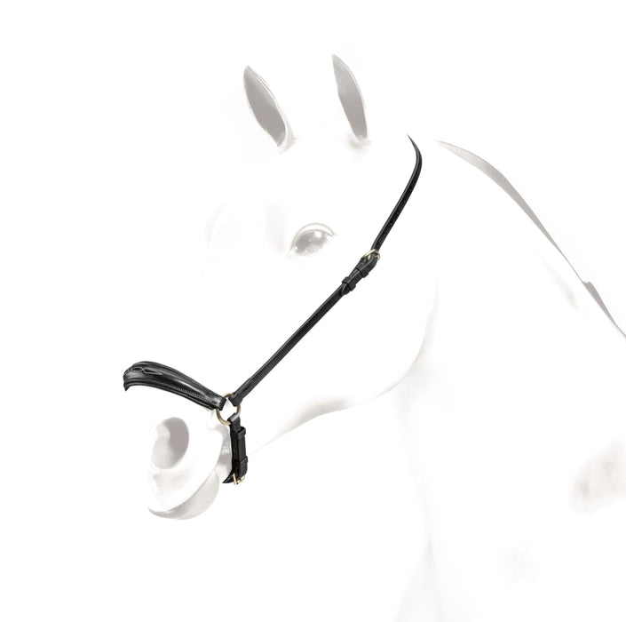 Hanoverian Drop Noseband