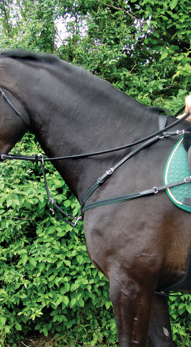 Amerigo Combination Breastplate