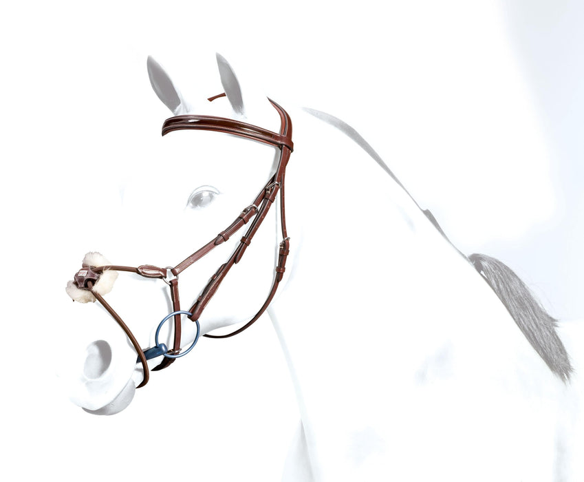 BR34 - Equipe Elastic Grackle Bridle