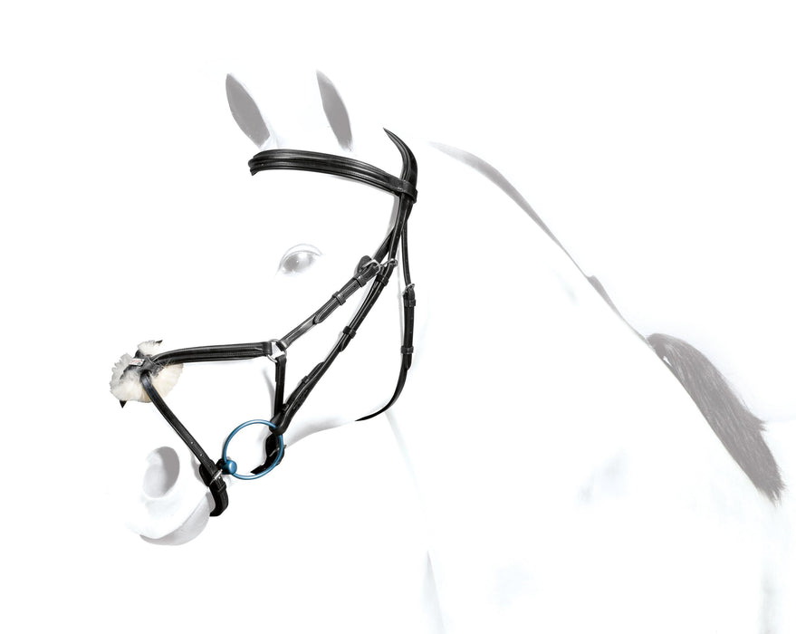 BR32 - Equipe Grackle Bridle