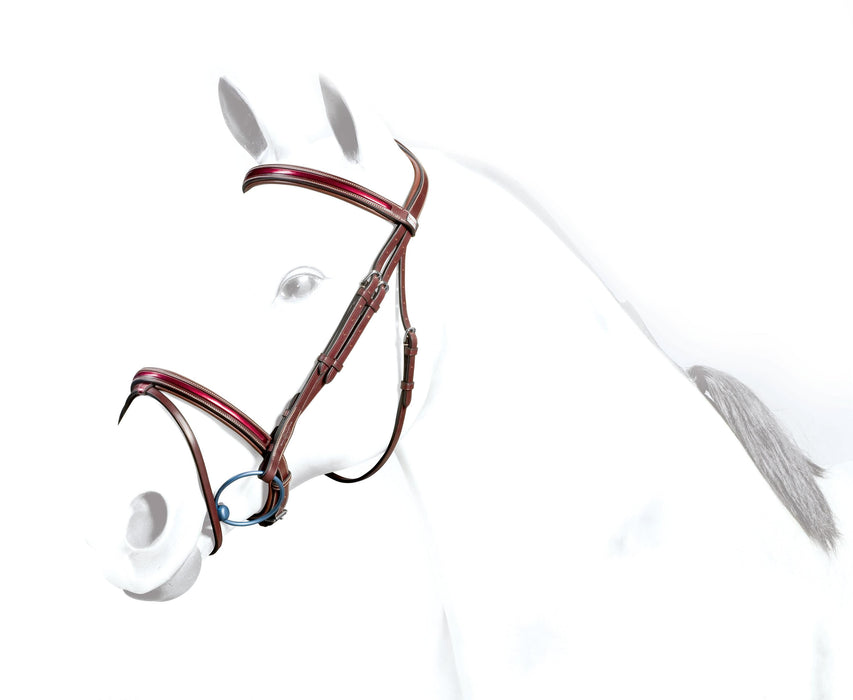 BR36 - Equipe Patent Flash Bridle