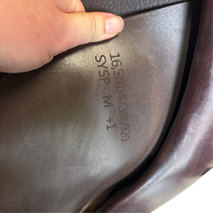 Equipe Synergy Special Jumping Saddle 2020