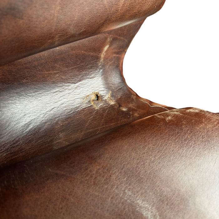 Equipe Expression Special Jumping Saddle 2018