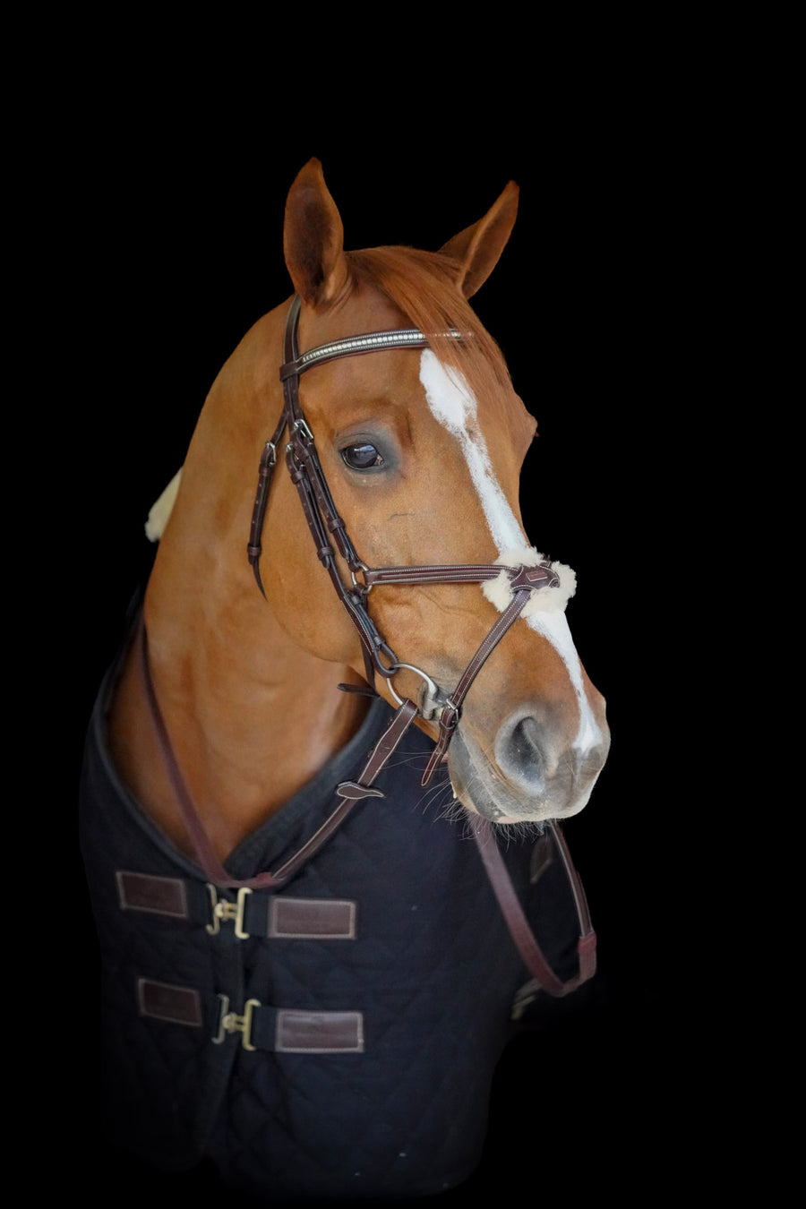 link to bridles for sale